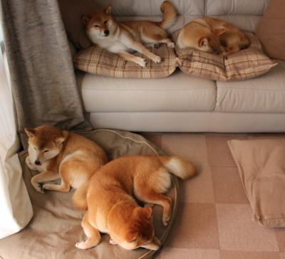 2014年西部决赛第七场：勇士在客场对阵马刺，库里砍下25分，关键时刻投中决定胜负的三分，带队晋级。